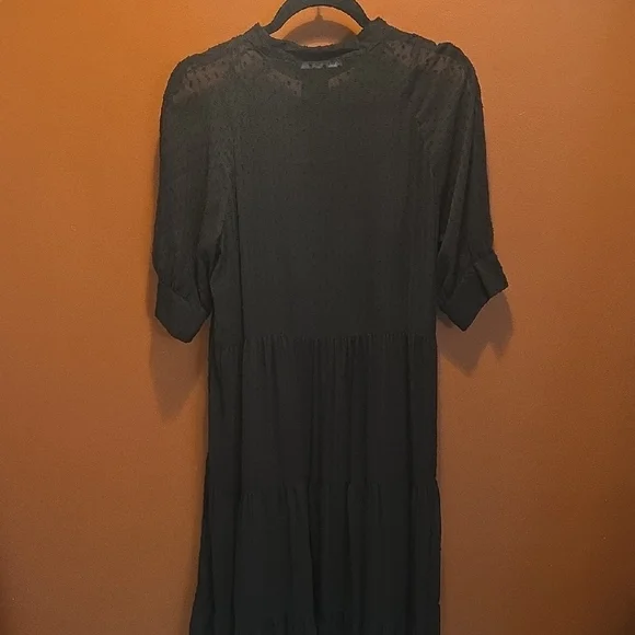 Zara Swiss Dot Long Sleeve Tiered Smocked Maxi Dress - Picture 6 of 11